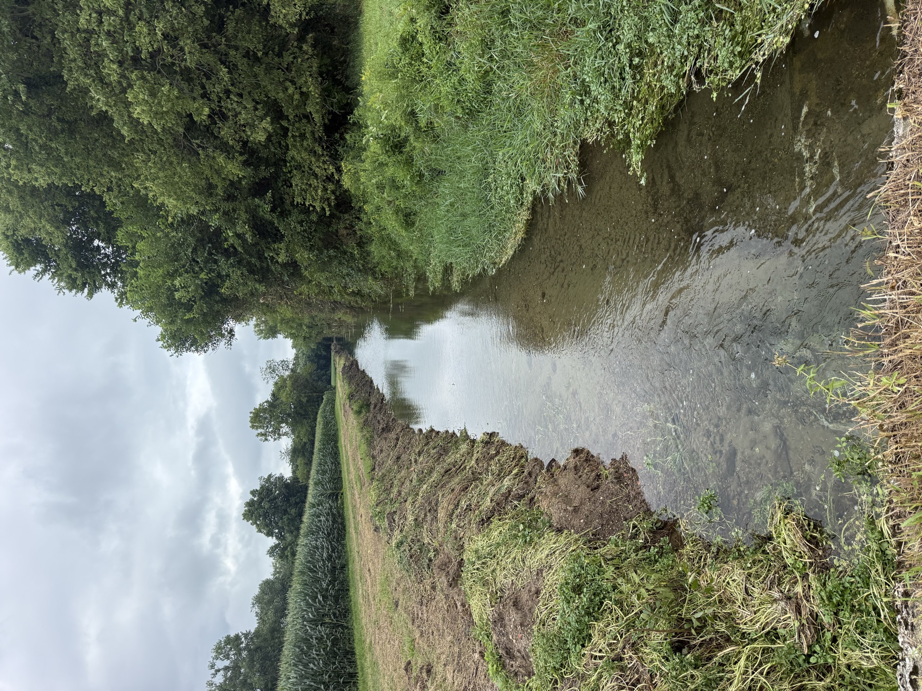 Rush County Open Ditch Restoration