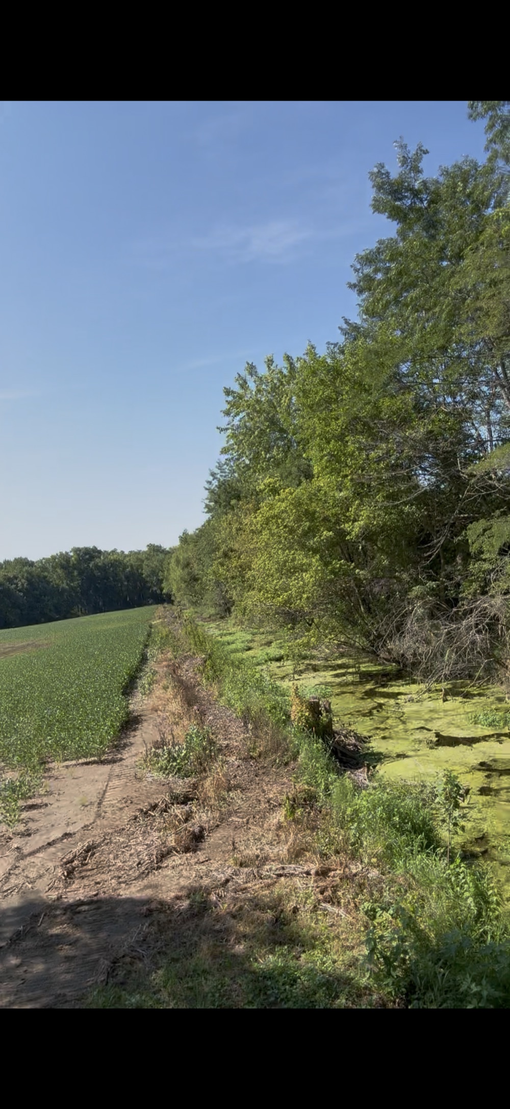 Rush County Open Ditch Restoration before photo 2
