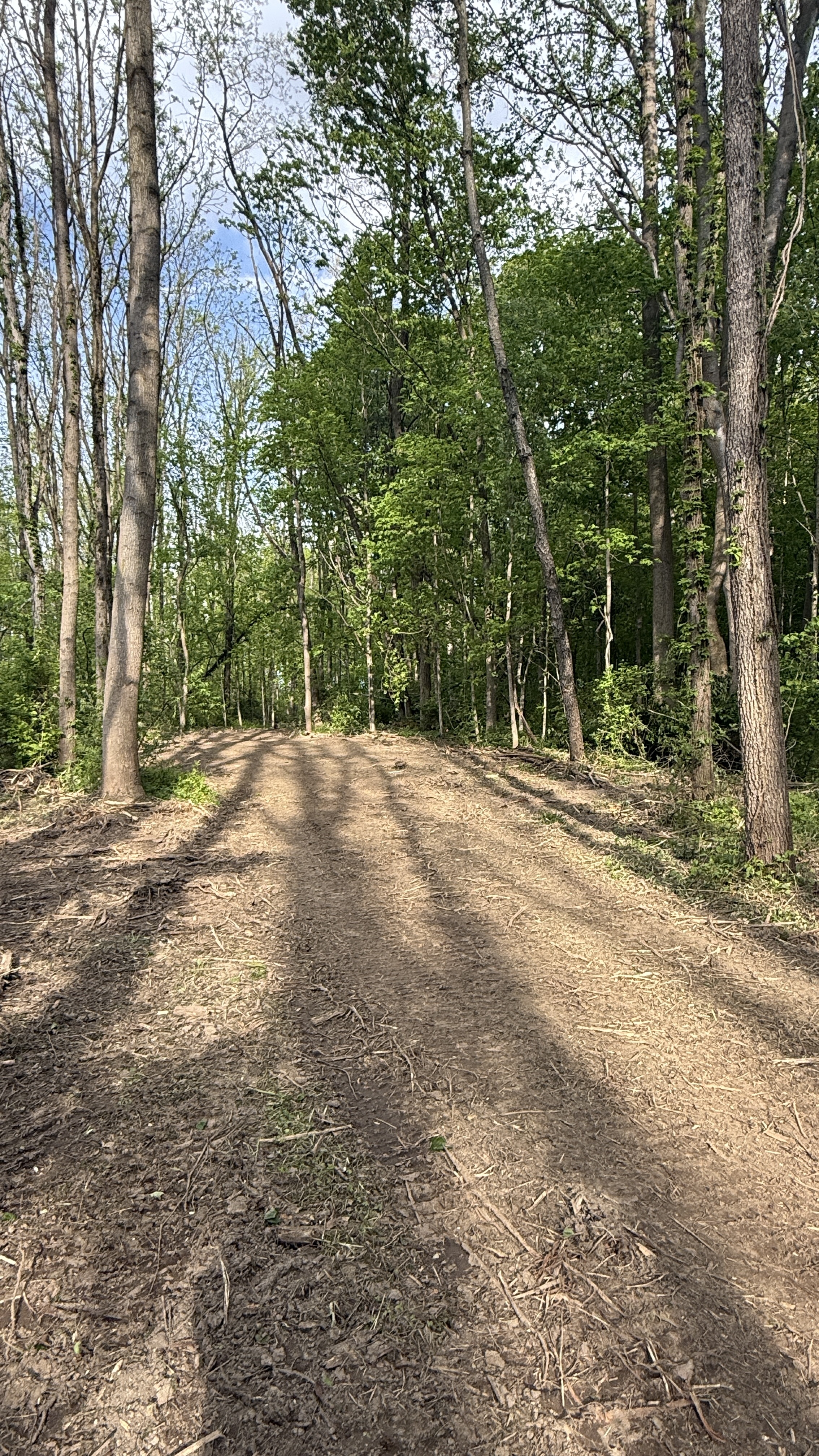 Cleared woodland trail after NFF Excavating work