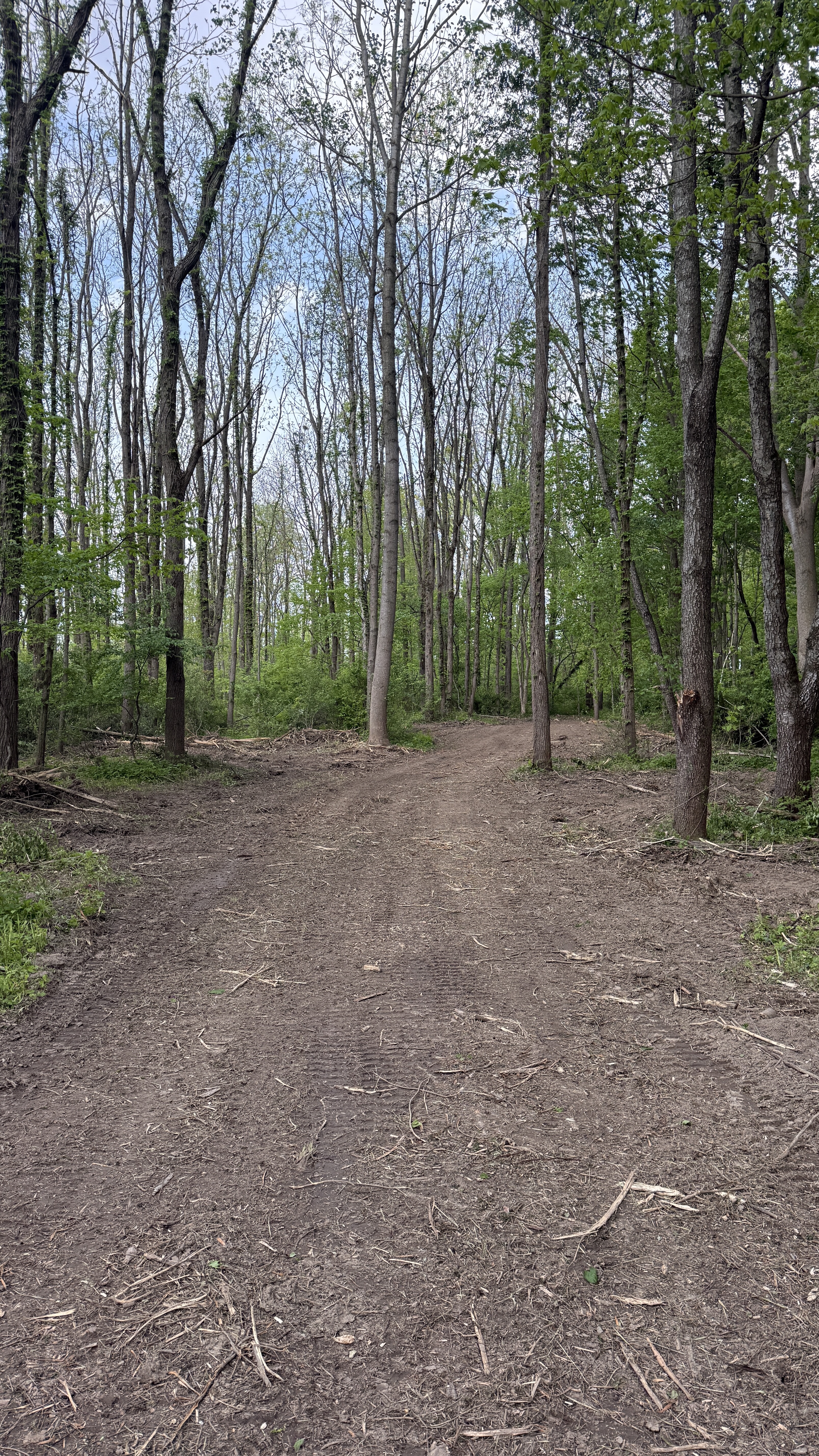 Cleared trail with open access to field