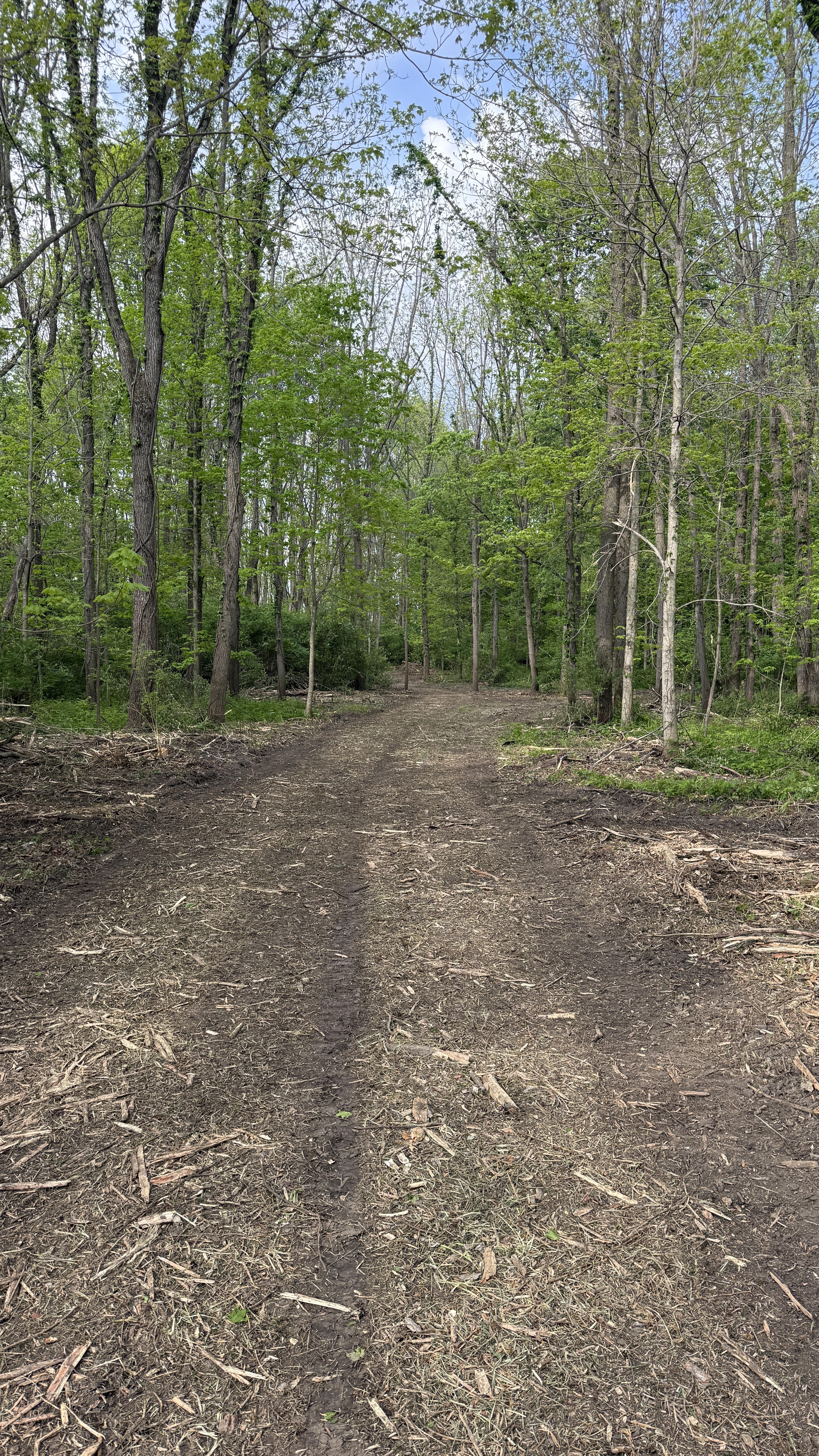 Open trail after land clearing
