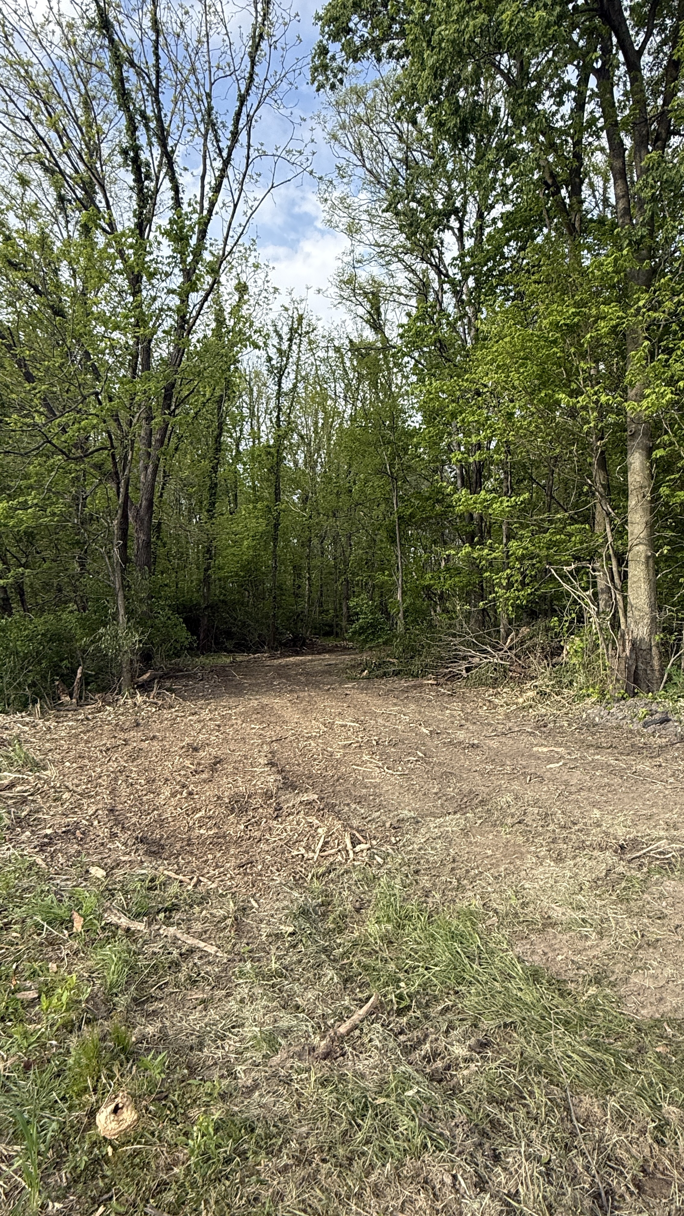 Cleared winding trail through woods
